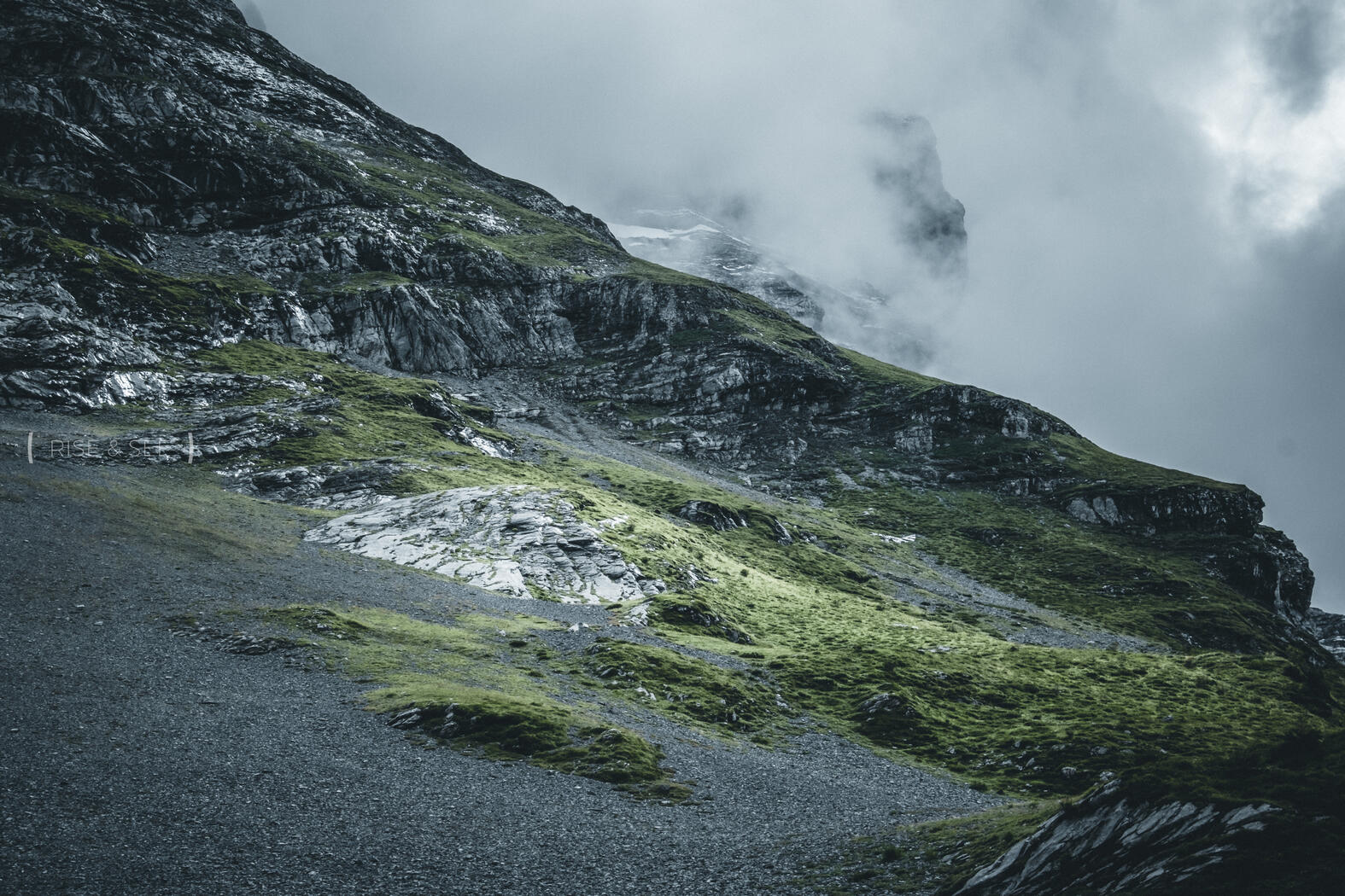 Spot the grey | © Rise & See